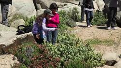 CLEAN: A rare blossoming of Chile's desert garden News Clip