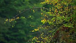 Fog of Lake Gï¿½ygï¿½l (goygol) Stock Footage