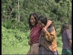 Voice Package: The Zapara tribe back from near extinction News Clip