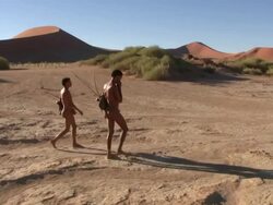 Bush people walking in Namib desert Stock Footage