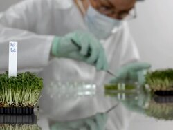 in the laboratory Stock Footage