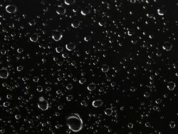 Water Drops Stock Footage