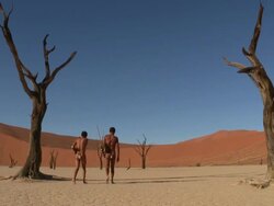 Dead_Vlei_San Stock Footage
