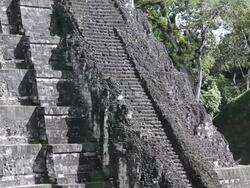 MS TU LA Shot of Tikal Temple at national park / Tikal, Guatemala Stock Footage