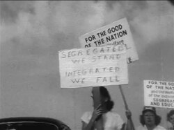 B/W 1950s female pro-segregationist demonstrator carrying sign - "Segregated we stand..." Stock Footage