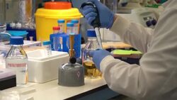 CLEAN : British Nobel winning scientist celebrates greatest honour News Clip