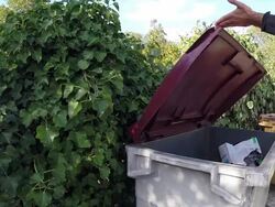 trash can Stock Footage