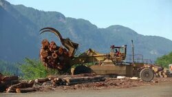 Logging Industry Squamish Stock Footage
