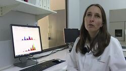 VOICED : In Namibia the long fight to rescue cheetahs from the brink News Clip