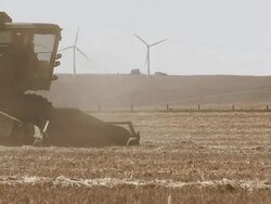 Close-up of combine harvester harvesting wheat field Stock Footage