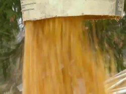 CU ZO Shot of spout filling truck with corn and corn flying around / Chelsea, Michigan Stock Footage