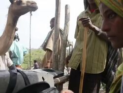Ethiopian woman writing receipt of transaction at camel fair Stock Footage