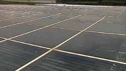 Solar energy for flower power News Clip