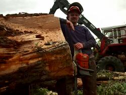 Medium full shot. Portrait of man in hard hat leaning up against a log, looking into the camera. Stock Footage