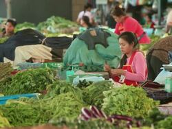 MS Shot of woman vegetables traders and customers in market / Vientiane, Laos Stock Footage