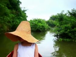 wetlands in the rain Stock Footage