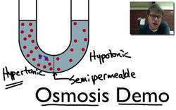 Osmosis Demo Instructional Video