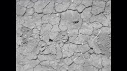 CAN775 PRIME MINISTER INDIRA GANDHI TOURS DROUGHT STRICKEN ORISSA STATE Instructional Video