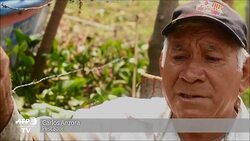 VOICED : Aves se disputan los peces con lugarenos en lago de El Salvador News Clip