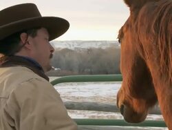 CU Cowboy horse whisperer stroking horse on face and neck / Shell, Wyoming, United States Stock Footage