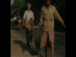 SYND 6 2 75 REFUGEES FLEE INTO PHNOM PENH News Clip