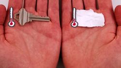 Can Humans Really Feel Temperature? Instructional Video