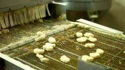 Quality control at a food processing plant Stock Footage