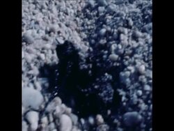 SYND 19-1-72 OIL SPILL SCENES News Clip