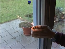 A housing scheme which aims to show how humans can reduce energy consumption News Clip