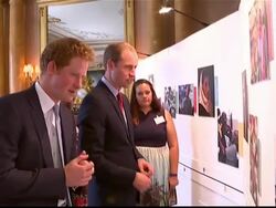 Prince Harry & William Looking Over Photos On Display News Clip