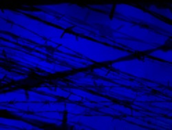 BARBED WIRE - cloudy blue. flow to the right (loop) Stock Footage