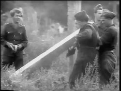 B/W 1961 soldiers raising post in construction of Berlin Wall / Germany / newsreel Stock Footage