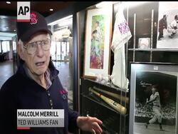 Fans of legendary Red Sox slugger Ted Williams are flocking  to Boston''s Fenway Park for a preview of the first major auction of sports, military and personal memorabilia documenting Williams'' life.   The auction will be held on Saturday. News Clip
