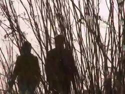 MS SLO MO PAN TS Couple walking with dog / RÃŒ_dersdorf, Brandenburg, Germany Stock Footage