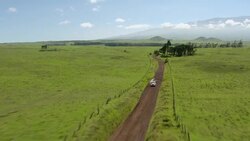Big Island, Hawaii - November 8, 2010: A vintage 1937 Buick Special Business Coupe, model 46 is seen driving on a dirt road. Stock Footage