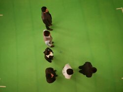 Business people forming alphabet L Stock Footage