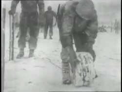 Soldiers build barbed wire fences in a blizzard during the Battle of the Bulge. Stock Footage