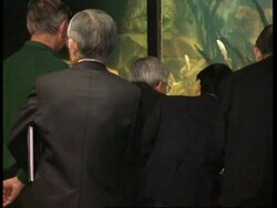 UK: JAPANESE EMPEROR AKIHITO VISITS LONDON ZOO News Clip