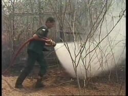 BRAZIL: MASSIVE FOREST FIRES CONTINUE TO THREATEN THE AMAZON News Clip