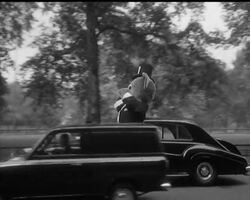 GIANT TEDDY BEAR News Clip