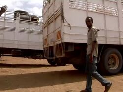 Truck loaded with goats Stock Footage