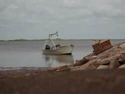 Boat sails on water  Stock Footage