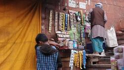 CLEAN : STOCKSHOTS: Stockshots of Delhi News Clip