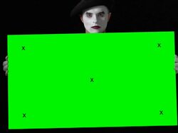 Mime Green Card 6 - Large with Tracking Points Stock Footage