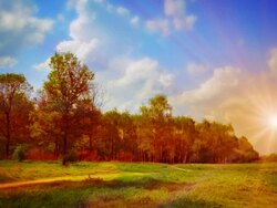 Autumn meadow. Stock Footage