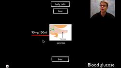 Homeostatic Loops Instructional Video