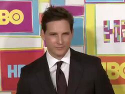 Peter Facinelli at HBO's Official 2014 Emmy After Party Stock Footage