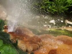 SLOW MOTION: Hot Spring Stock Footage