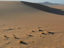 WS View of tall wonderful sand dunes of Hartmann Berge deserted land Hartmann Valley Marie flub with hills and ripples / Namib Desert, Namibia, South Africa Stock Footage