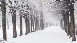City park in winter. People strolls during a snowfall. Stock Footage
